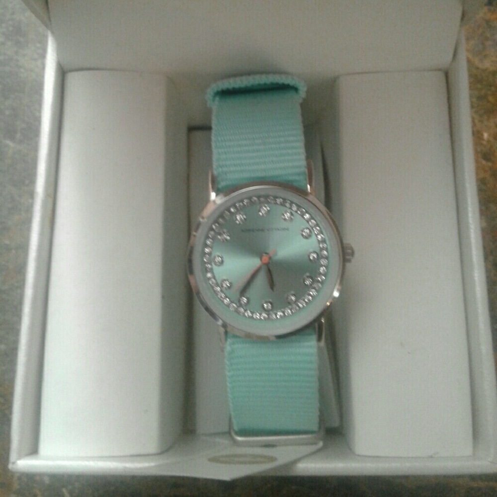 Adrienne Vittadini Turquoise Watch
